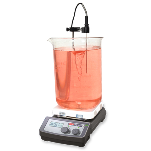 10-MLH Plus